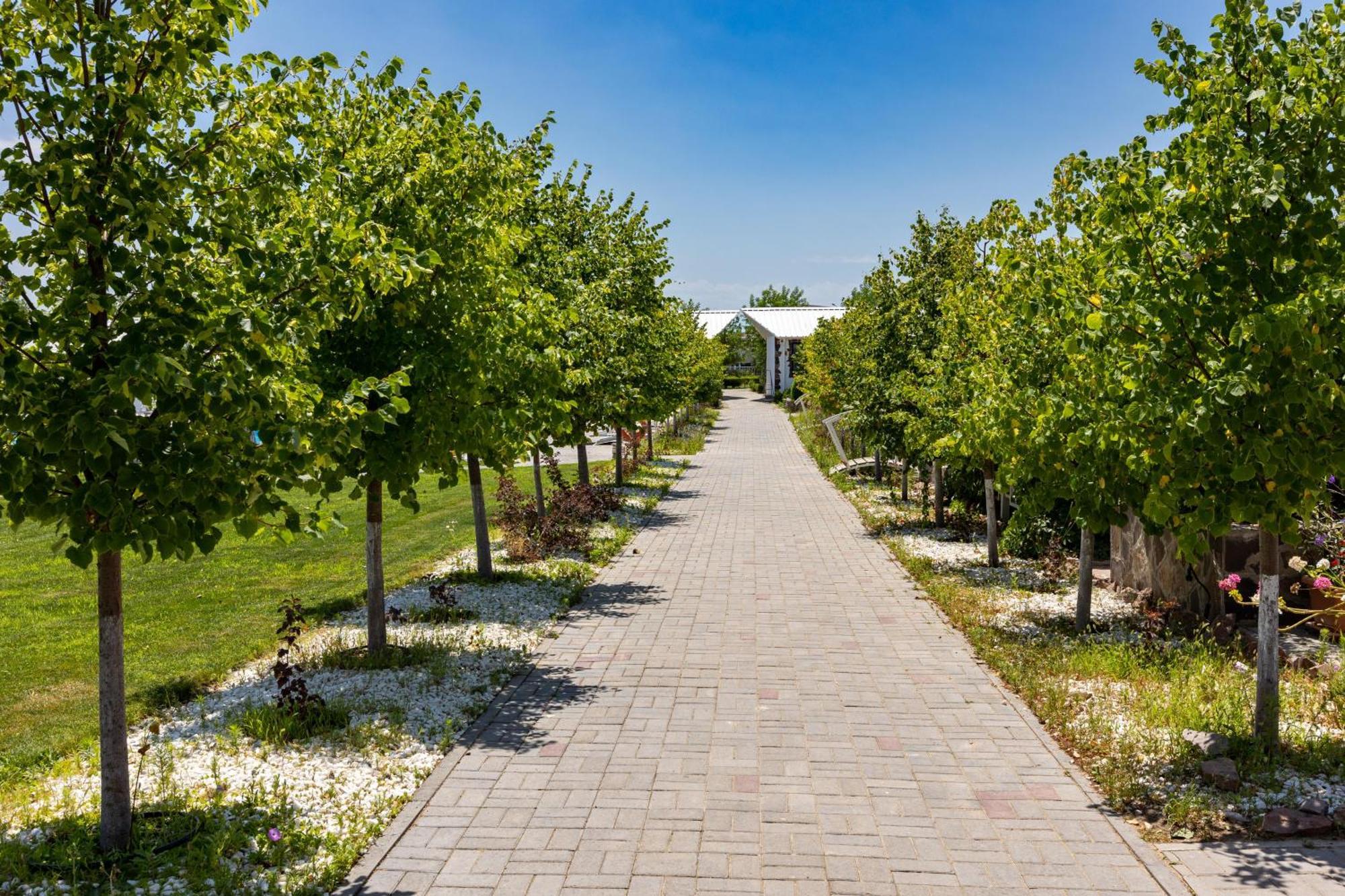 קפצ'אגאי La Dolce Vita Resort מראה חיצוני תמונה